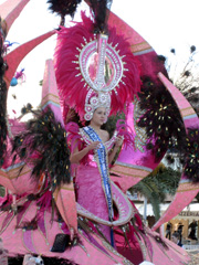 Carnaval_reina_pink_morro