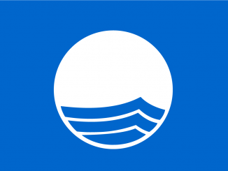 Blue Flag Logo 2