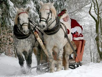 Weihnachtsmann b