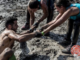 Bestial Race auf Fuerteventura 1 Bestial race Web