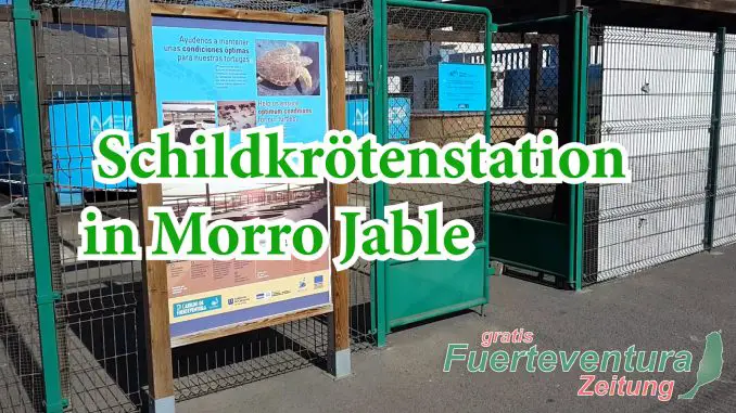 Schildkrötenstation w