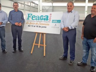 Feaga 2019w