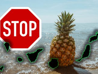 Ananas vebot