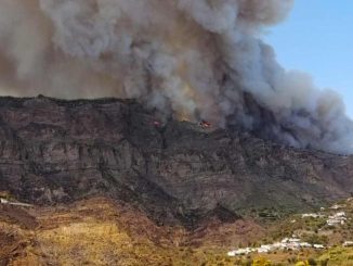 Waldbrand Valleseco Gran Canaria 17.08.2019