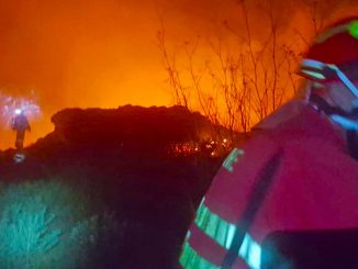 Feuerwehr kämpft gegen Waldbrand auf Gran Canaria