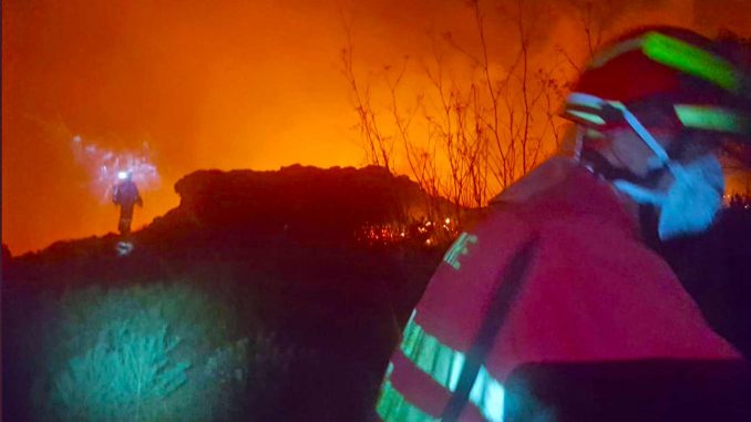 Feuerwehr kämpft gegen Waldbrand auf Gran Canaria