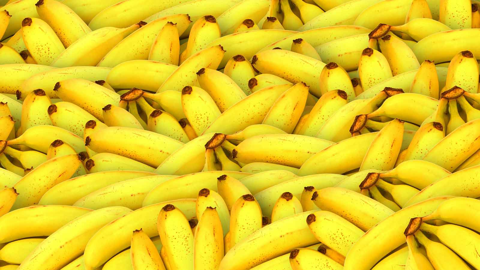 Bananen - Fuerteventura-Zeitung