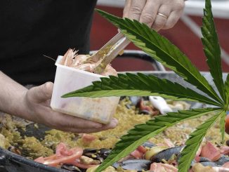 Paella Cannabis