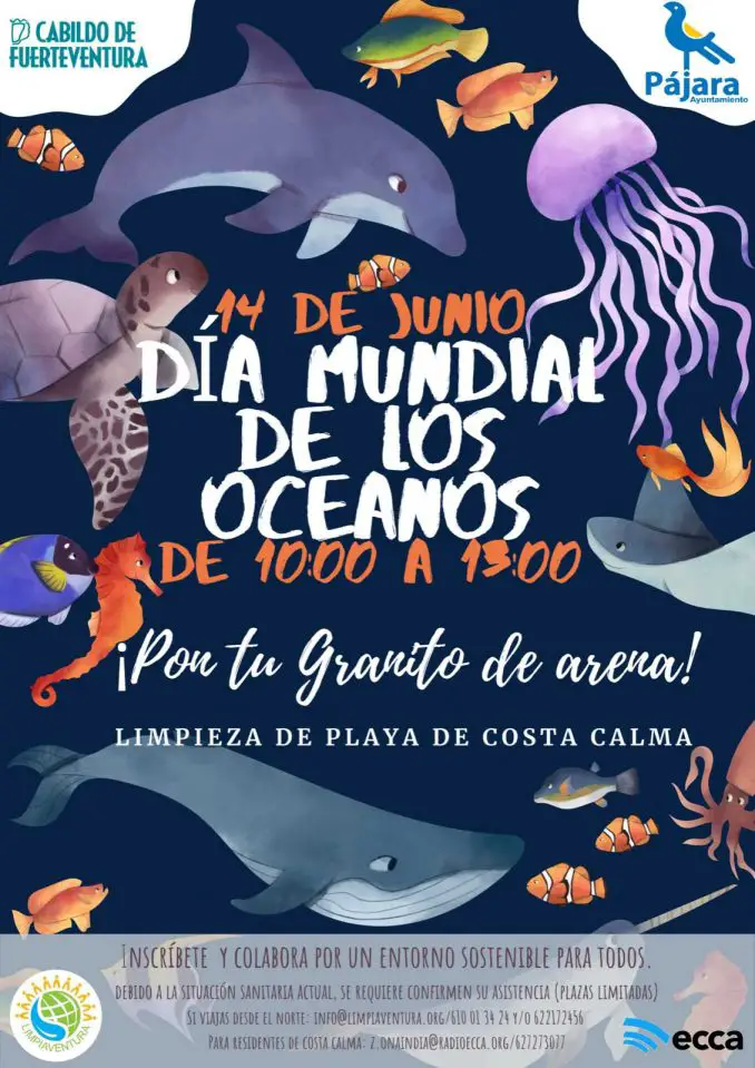 Fuerteventura: Strandreinigungsaktion an der Costa Calma am 14.06.2020! Wer macht mit? 1 Plakat Strandreinigung Costa Calma voll