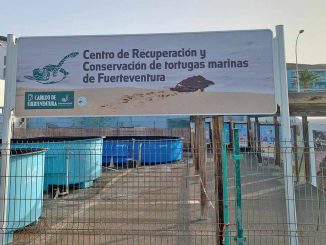 Schildkrötenstation Fuerteventura