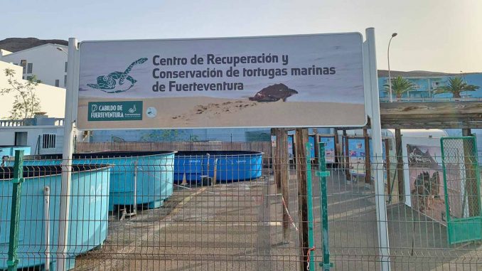 Schildkrötenstation-Fuerteventura