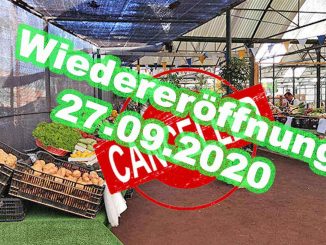 Gute Nachrichten für Fuerteventura: Kunsthandwerks- und Bauernmarkt findet ab sofort wieder statt 1 Oasis wieder auf 1