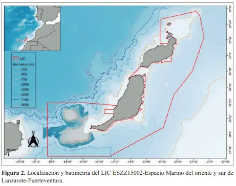 Paradies Atlantik: Mehr als 1.700 Spezies leben zwischen Fuerteventura und Lanzarote 1 LIC Lanzarote Fuerteventura web