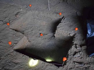 Archäologen prüfen Höhle an Fuerteventuras Westküste auf ihre kulturelle Bedeutung 1 archaeologische Ausgrabung Fuerteventura
