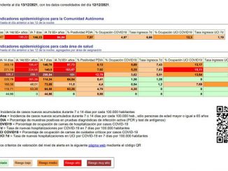 Informe 211213 web