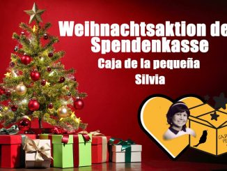 Weihnachtsaktion caja web