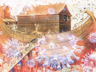 arche noah Fuerteventura Corona