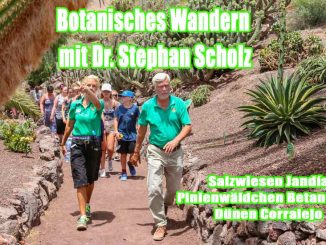 „Botanisches Wandern“ auf Fuerteventura 1 Botanisches Wandern web