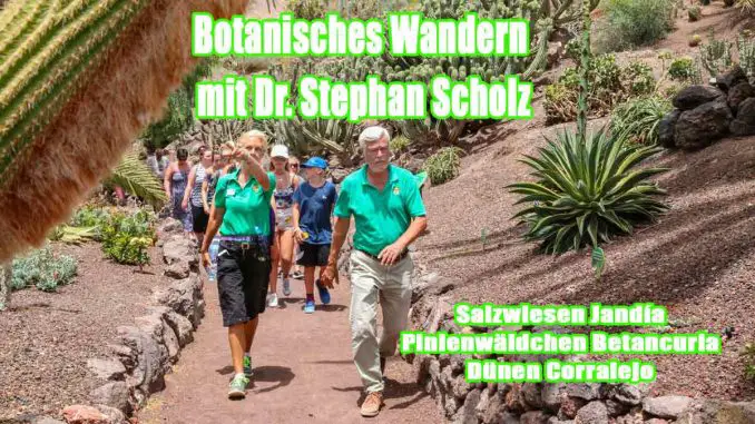 Botanisches_Wandern_web