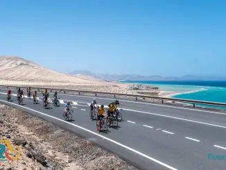 Faro Fuerteventura Web