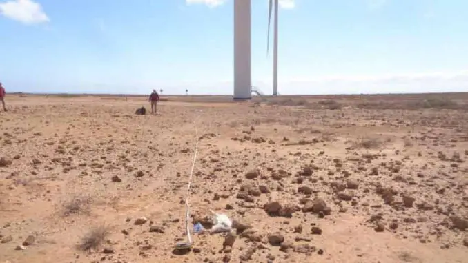 toter-Guirre-Windpark-Fuerteventura