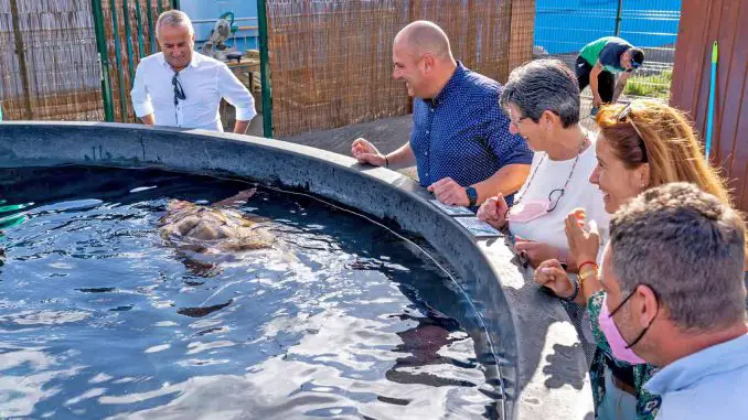 schildkrötenstation-Fuerteventura-Morro-Jable