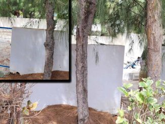 Wasserversorgung auf Fuerteventura: Lichtblick für Costa Calma? 4 Pumpensation CC Palace offen web