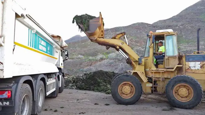 Badestrand von Gran Tarajal auf Fuerteventura wegen toxischer Cyanobakterien gesperrt 2 Algen Fuerteventura Bagger