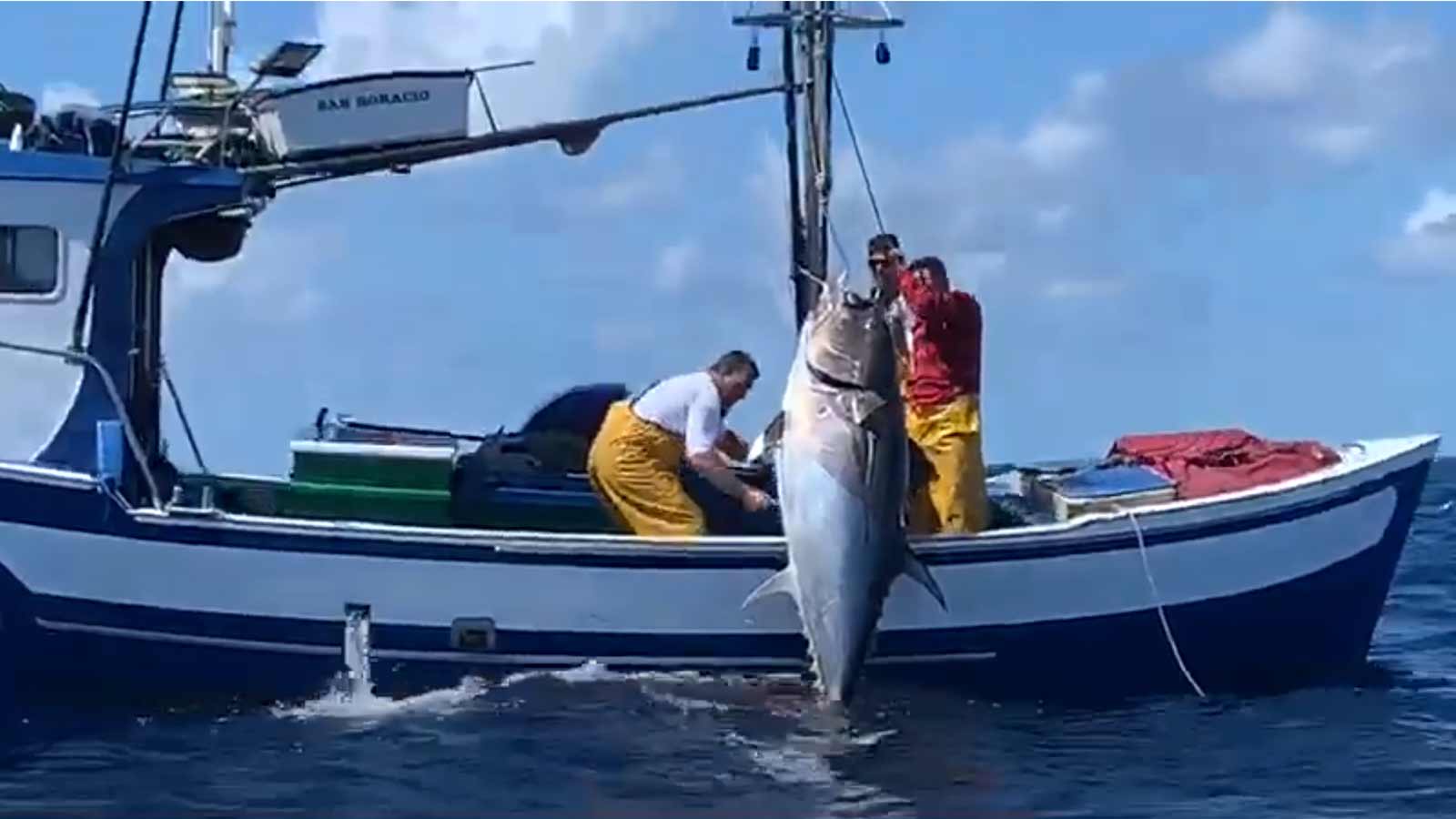 Größter Roter Thun seit 30 Jahren im Süden von Fuerteventura gefangen 1 Thunfisch Fischerboot Kanaren