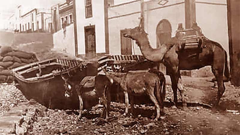 Puerto del Rosario Fuerteventura 20 Jahrhundert