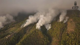 Feuer La Palma Waldbrand Rauch