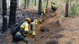 Feuerwehr La Palma Waldbrand stabil