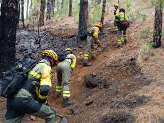 Feuerwehr La Palma Waldbrand stabil