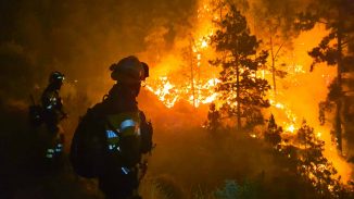 Waldbrand La Palma Nacht Rauch