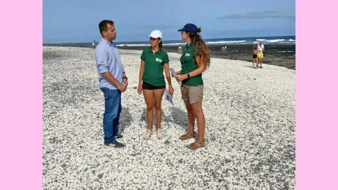 Popcorn-Strand-Fuerteventura-Umwelt-Aufklärung