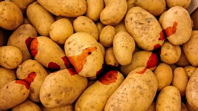 Kartoffeln-Kanaren