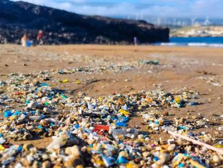 Neue Forschungsergebnisse zu Mikroplastik auf Fuerteventura und den Kanarischen Inseln 1 Mikroplastik