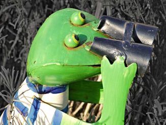 Spanner fotografieren Kunden in Umkleidekabinen in Einkaufszentrum auf Fuerteventura 1 Spannender Frosch 1
