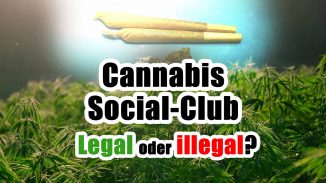 Cannabis Solical Club legal oder illegal
