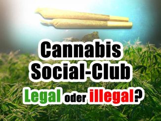 Cannabis Solical Club legal oder illegal