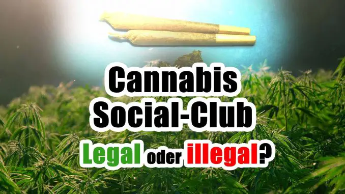 Cannabis-Solical-Club-legal-oder-illegal
