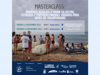 Erste Hilfe Kurs Meeresfauna