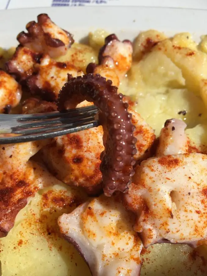 Pulpo Gallega