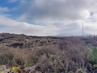 Malpais de la Arena Fuerteventura