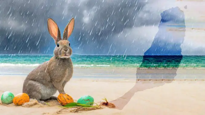 Osterhase-Regen-Strand