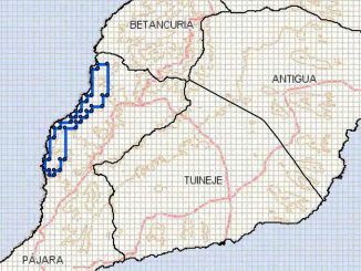 Seltene Erden Fuerteventura Verode