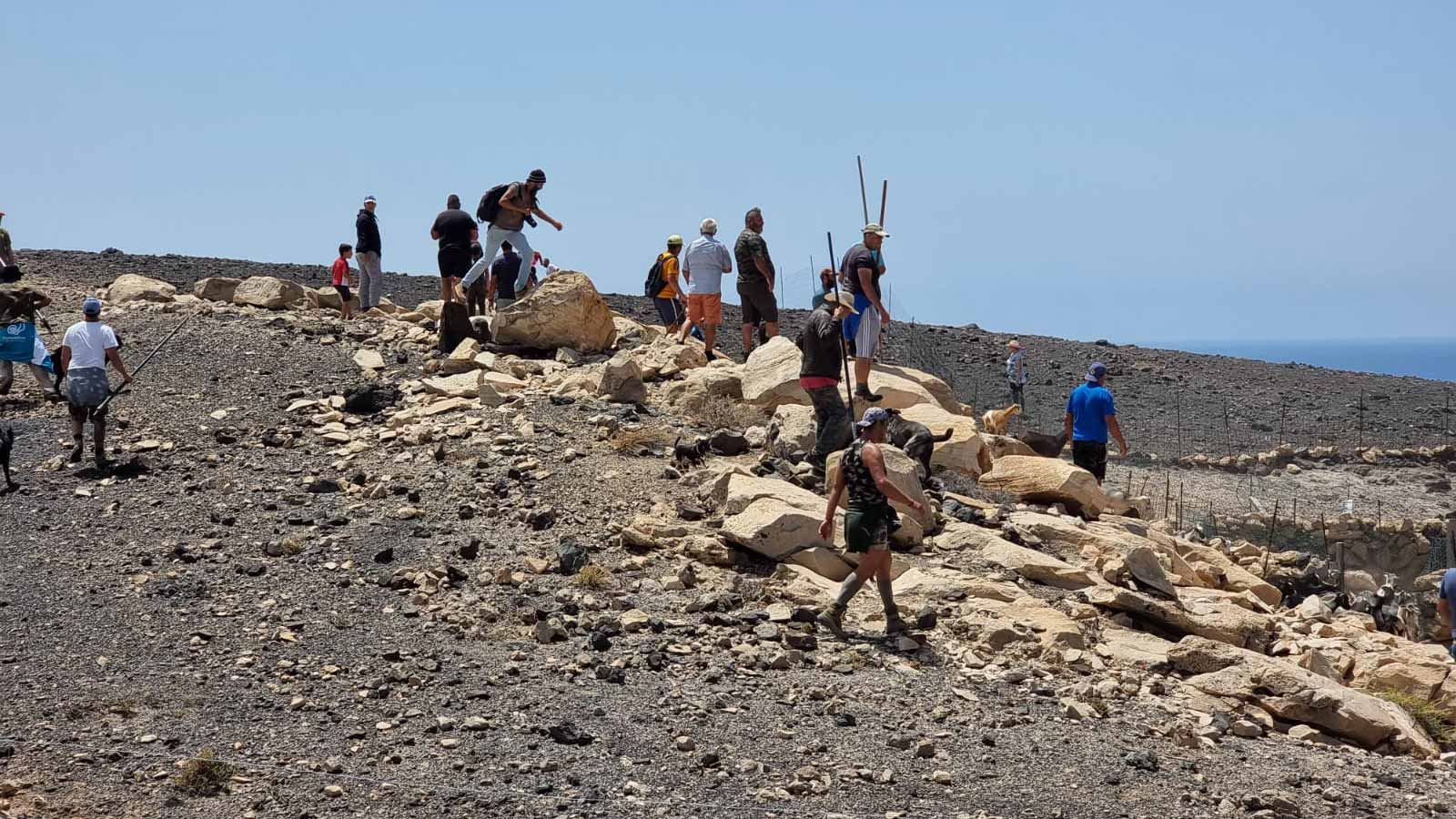 Traditioneller Viehtrieb (apañadas) auf Fuerteventura als immaterielles Kulturgut anerkannt 1 apanada Jandia