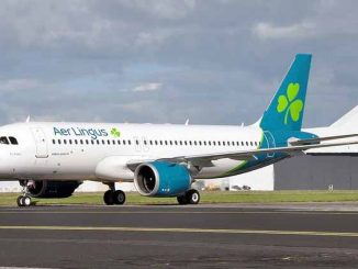Direkte Flugverbindung zwischen Fuerteventura und Dublin ab Ende Oktober 2024 1 Aer Lingus