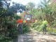 Palmenwald Costa Calma 2024