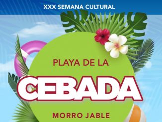 Playa Cebada 24 web